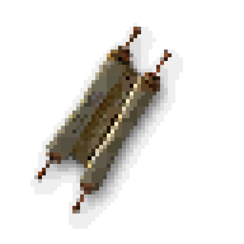 100 Scroll of Resurrection