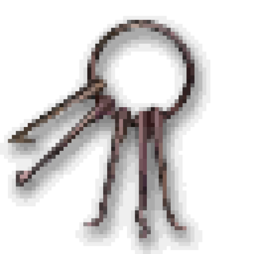 1000 Lockpicks