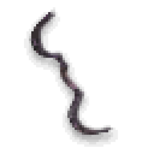 Tormented Longbow